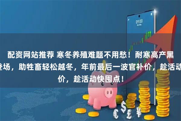 配资网站推荐 寒冬养殖难题不用愁！耐寒高产黑麦草种登场，助牲畜轻松越冬，年前最后一波官补价，趁活动快囤点！